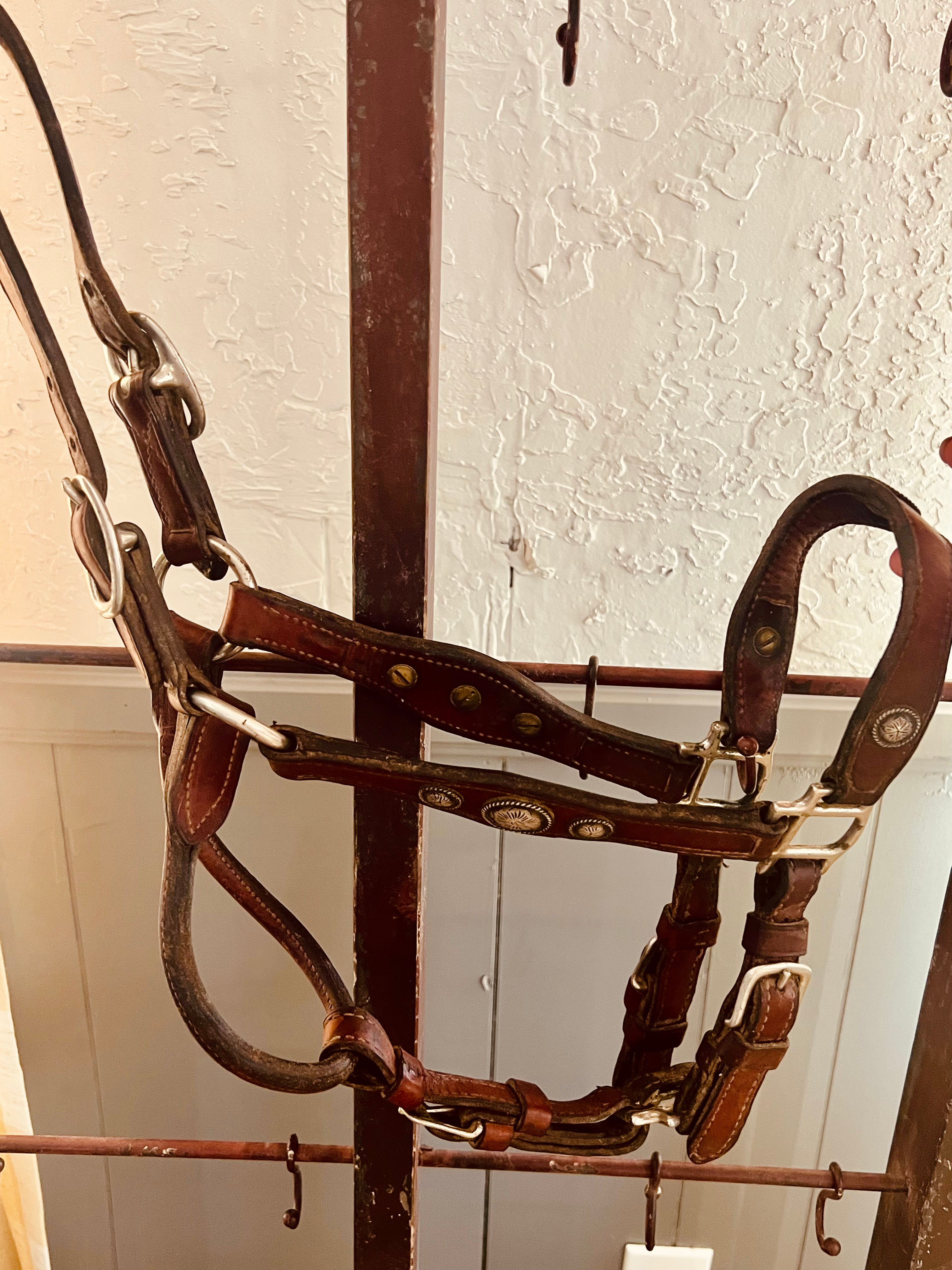 Champion Turf Vintage Leather Silver Show Halter with Leather Lead