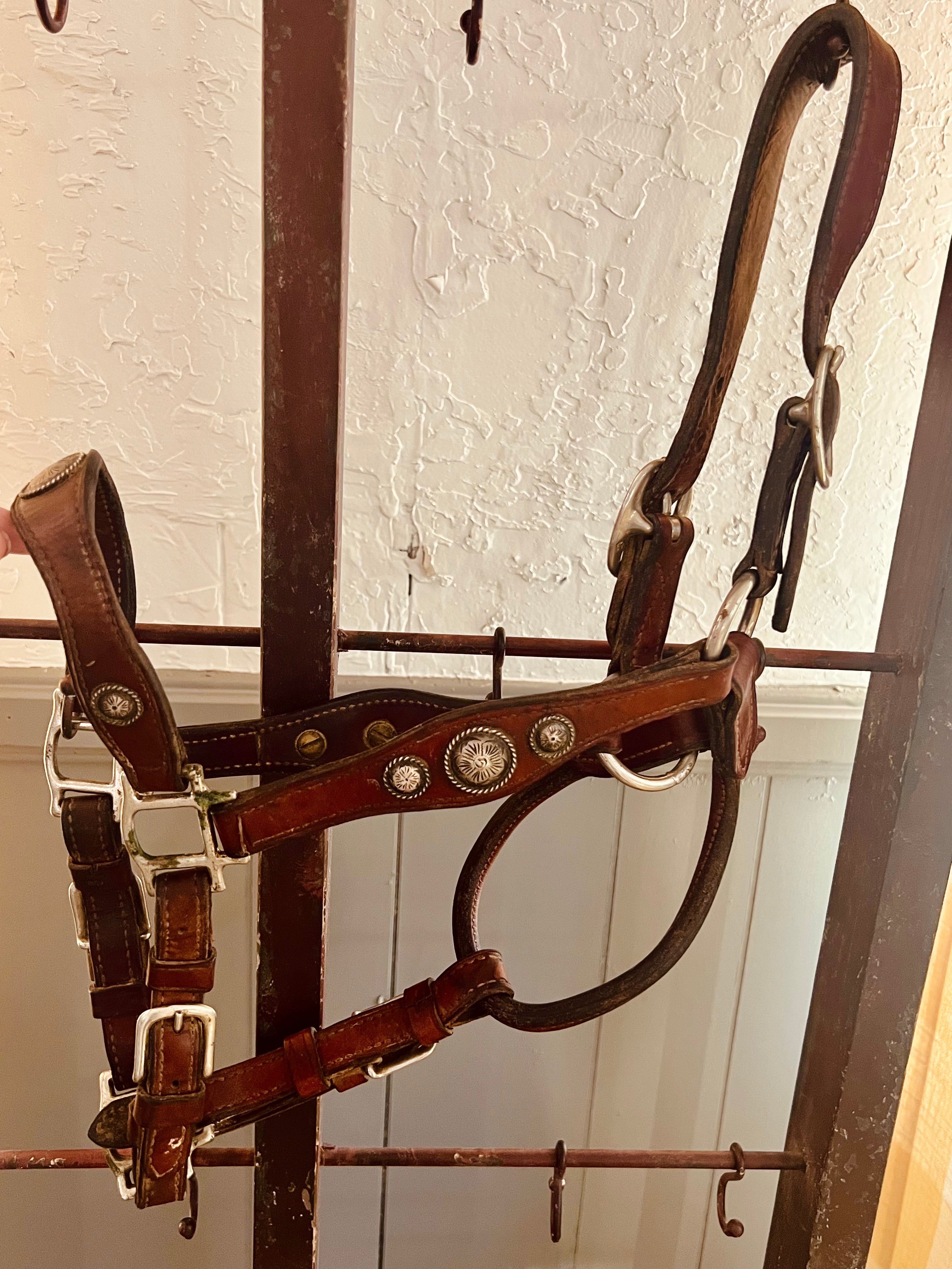 Champion Turf Vintage Leather Silver Show Halter with Leather Lead