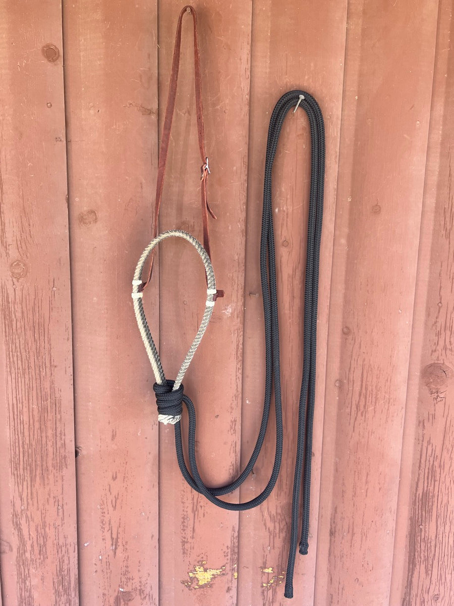 Loping Hackamore Double Rope Noseband 7.5' Split Reins - Black