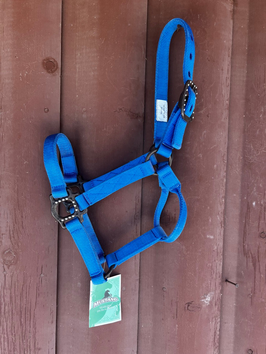 Mustang Traditional Nylon Horse Halter - Yearling - Blue HL1113