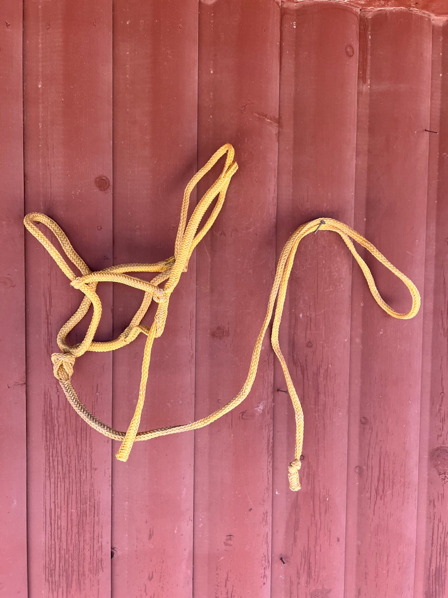 Adjustable Braided Shipping Halter  HL1119