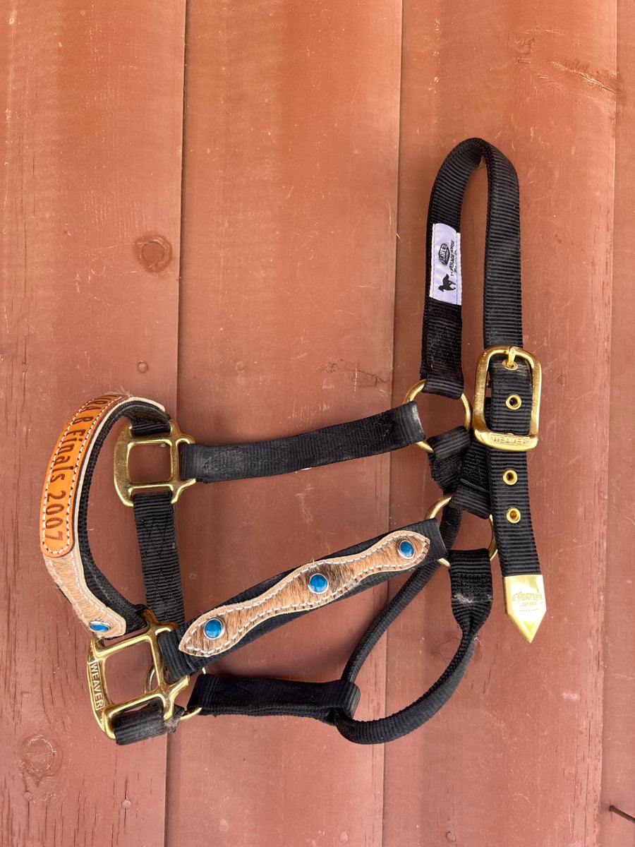 Weaver Leather 1 in Nylon AJRA Finals Horse Halter - Average Horse Size     HL1123