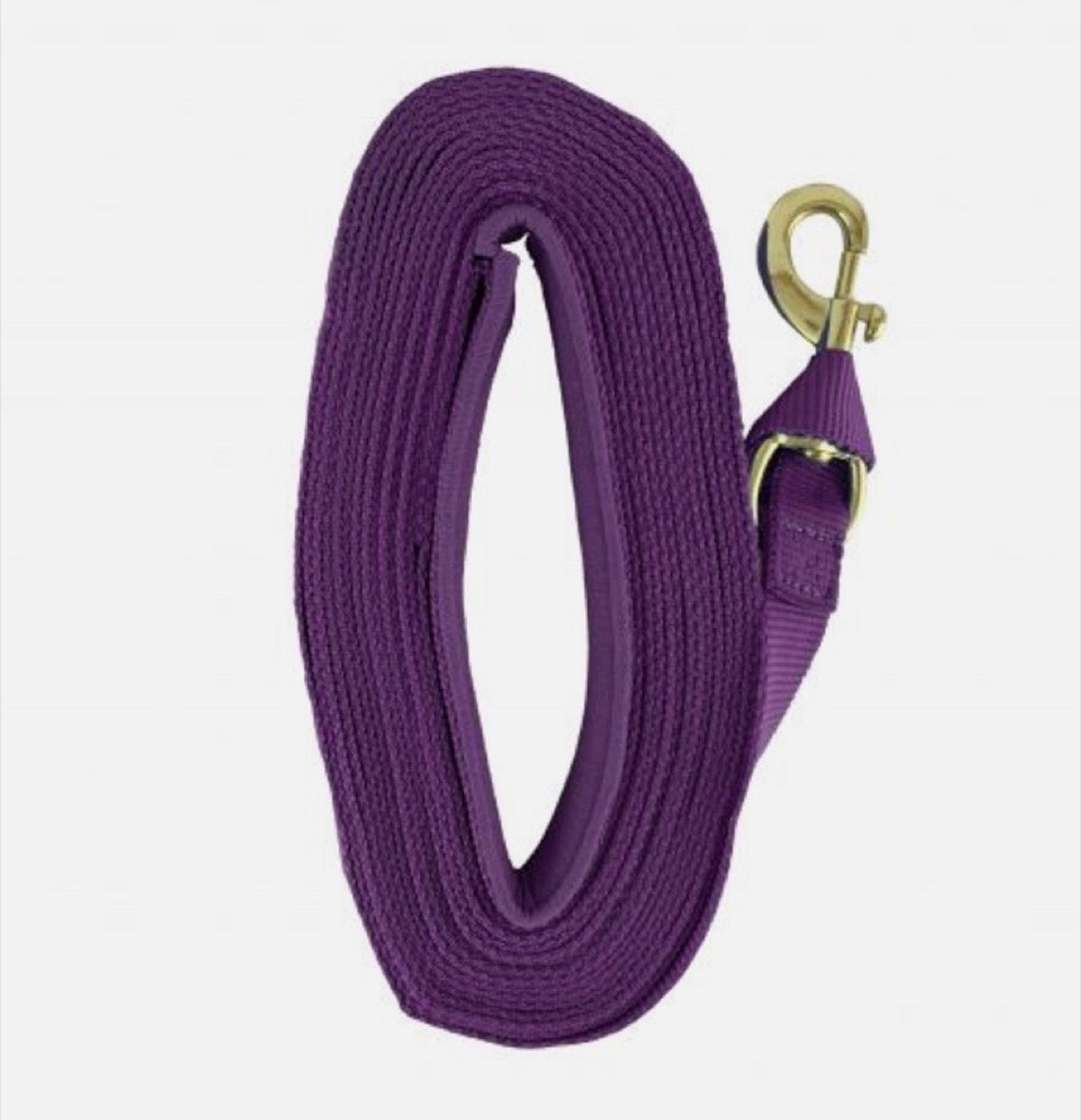 25' Web Lunge Line Padded Handle