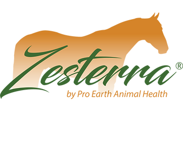 Zesterra Logo