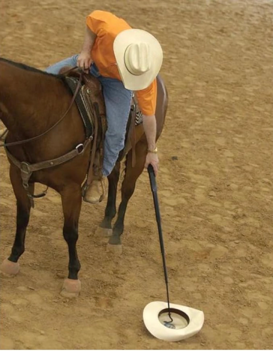 Lazy Cowboy