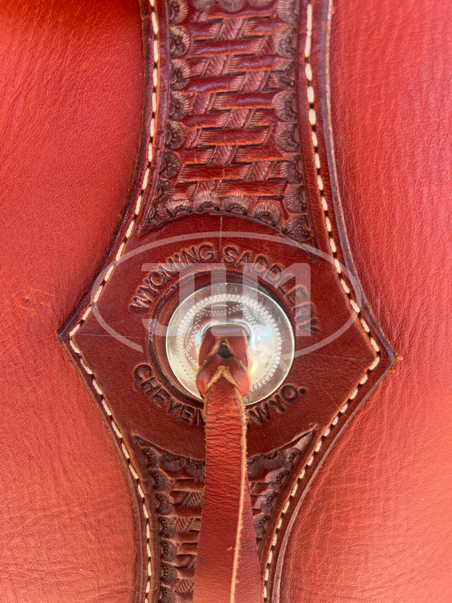 Custom Chinks by Wyoming Saddlery     CH1119