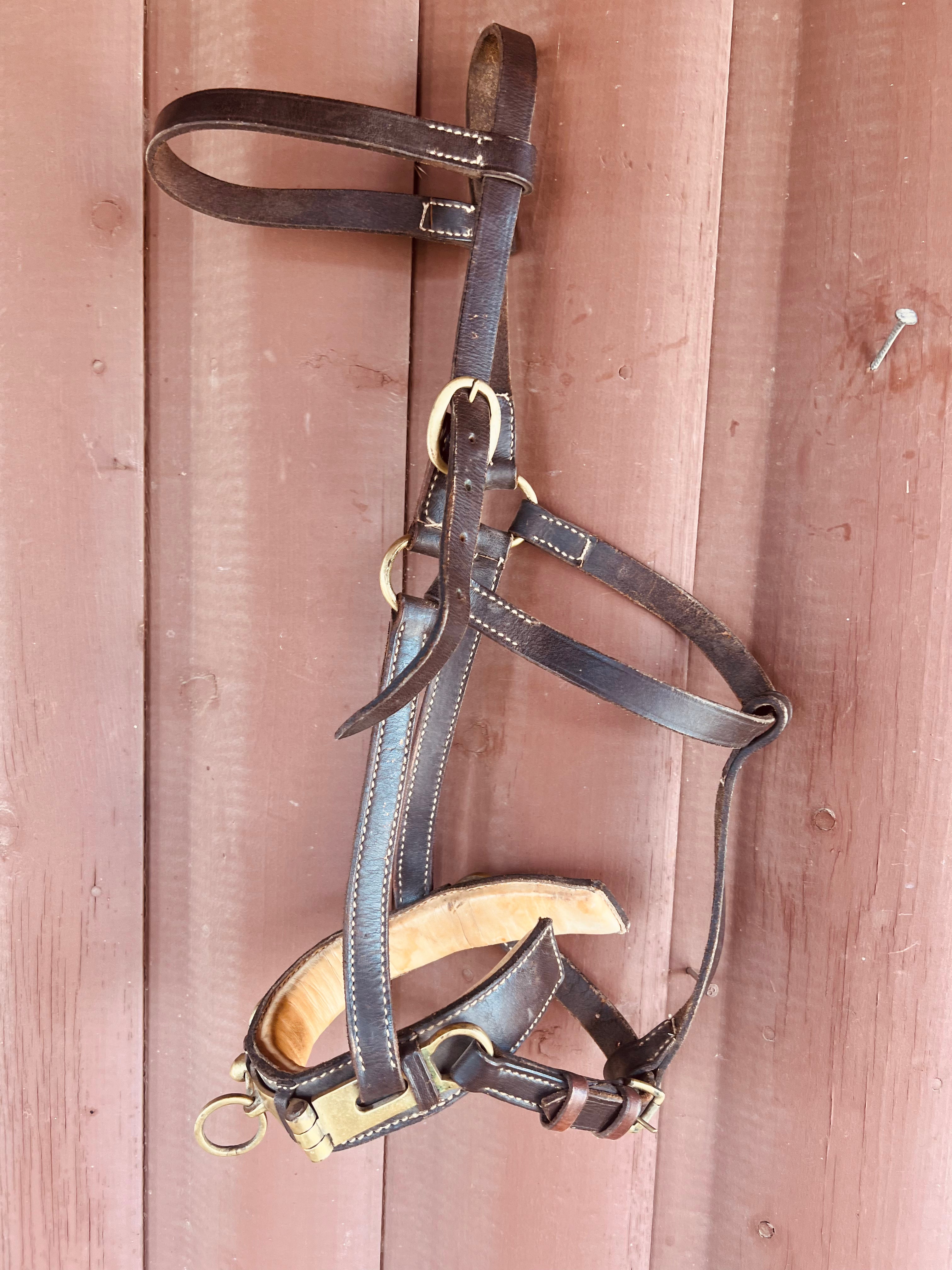 Leather Lunging Cavesson JLM The Store