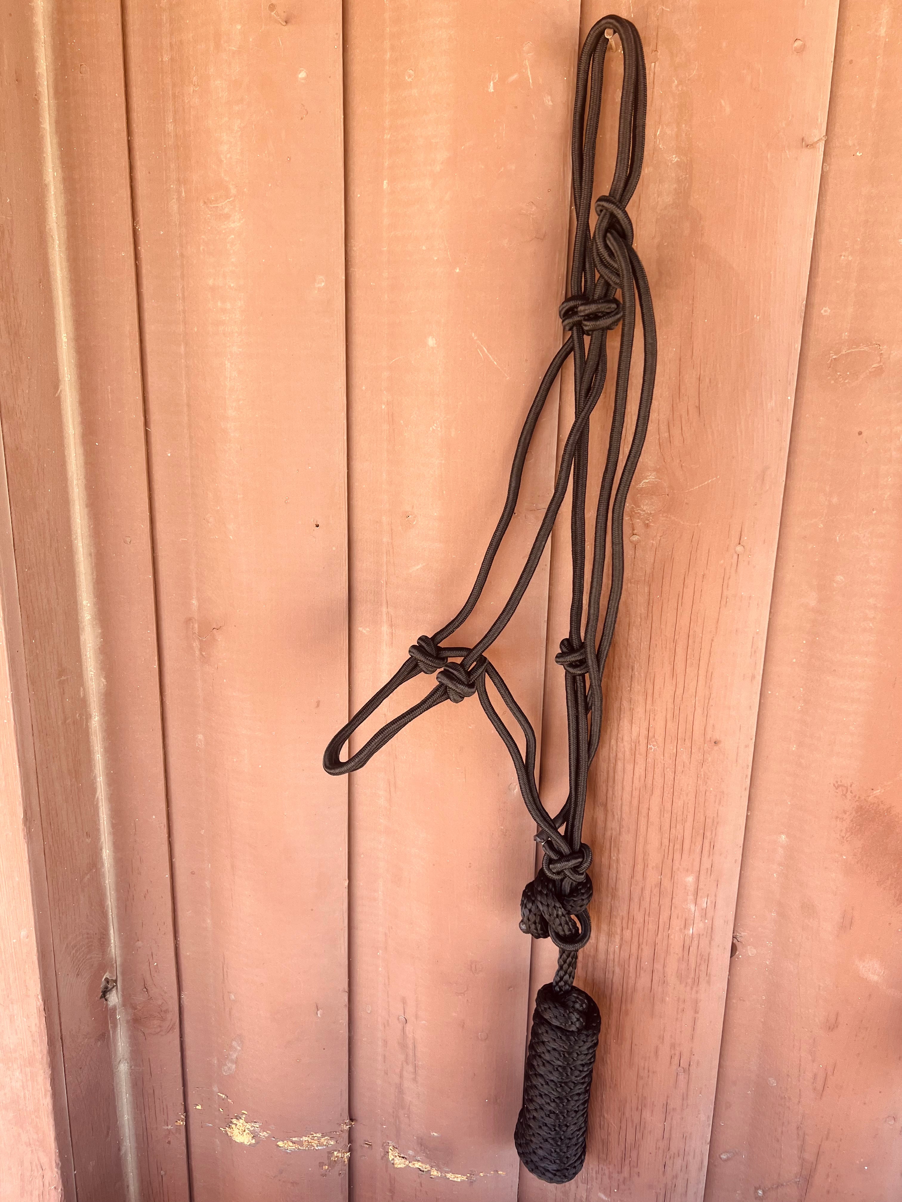 Mustang Rope Halter with Detachable Lead Rope