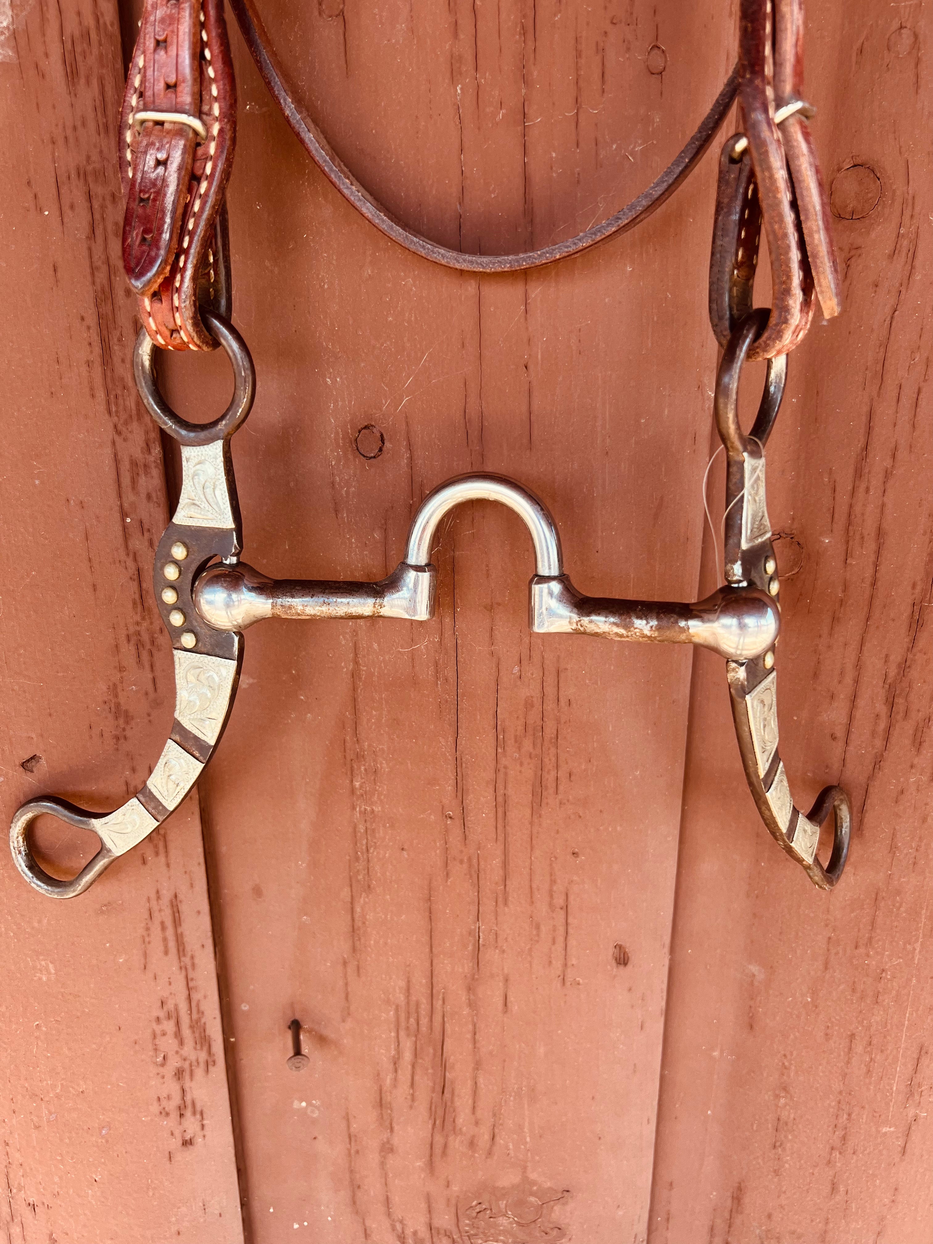 Reinsman Pro Roper 876 Bit on Leather Browband Quick Change Headstall