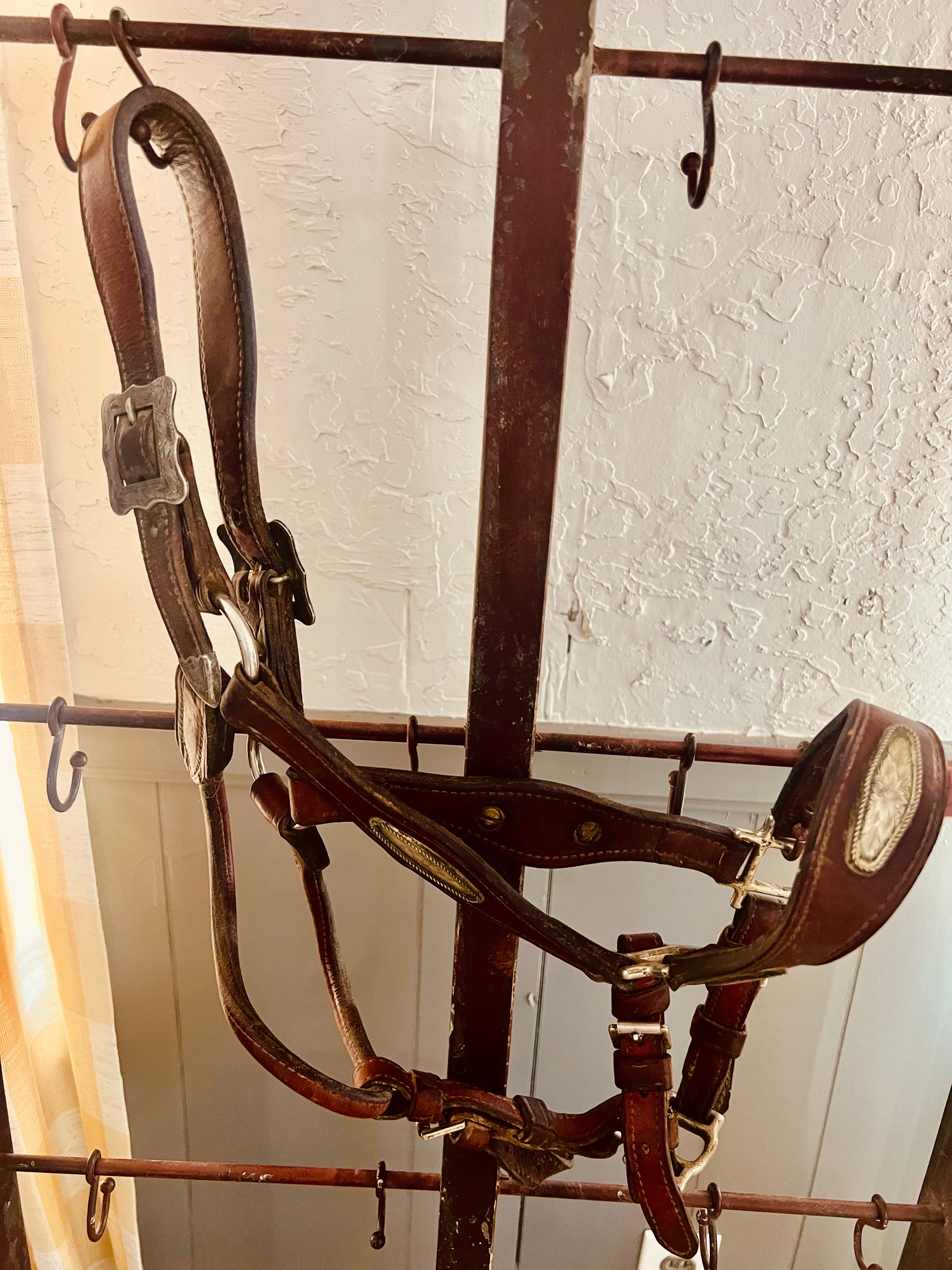 Champion Turf Vintage Leather Silver Show Halter