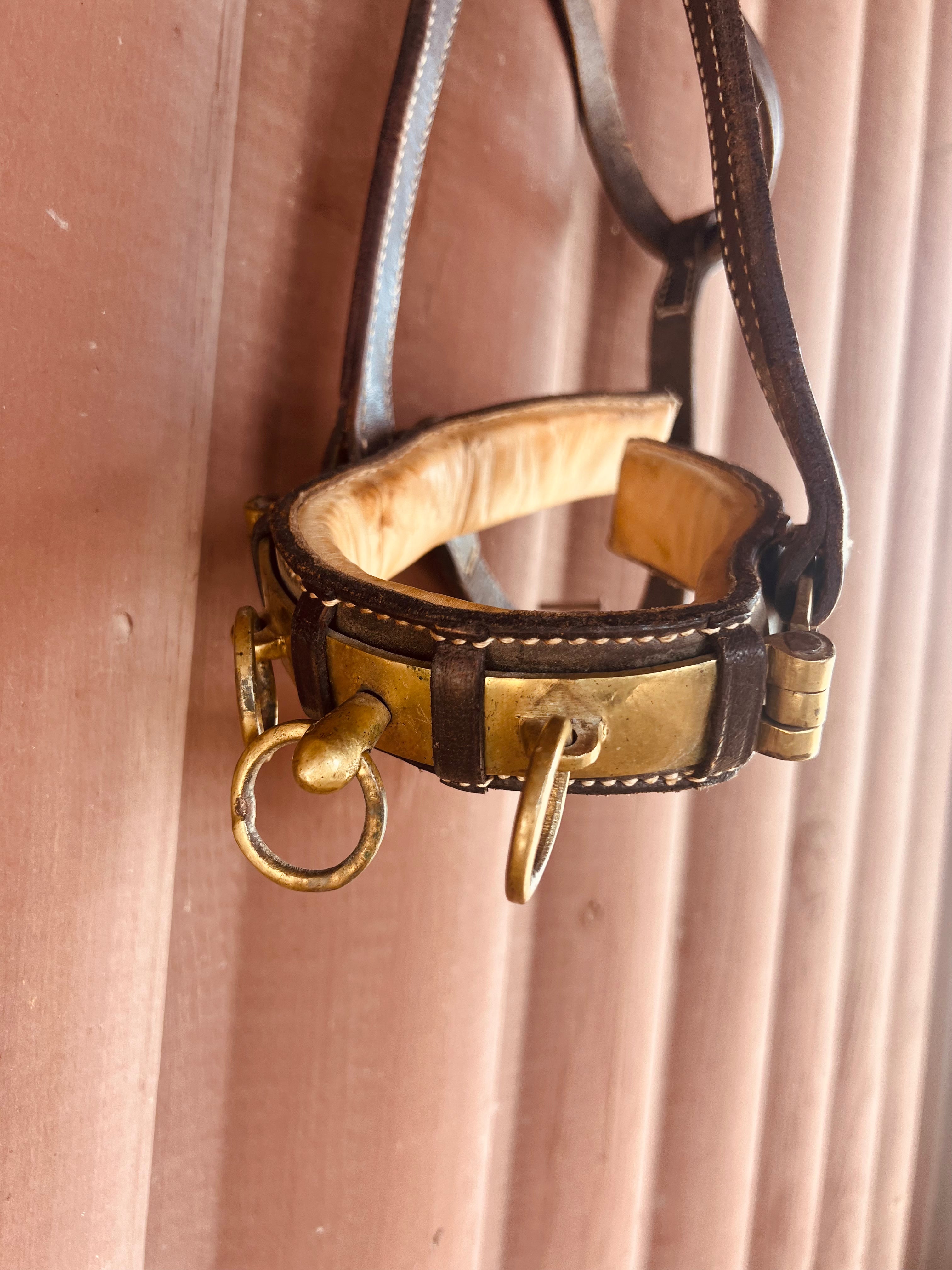 Leather Lunging Cavesson JLM The Store