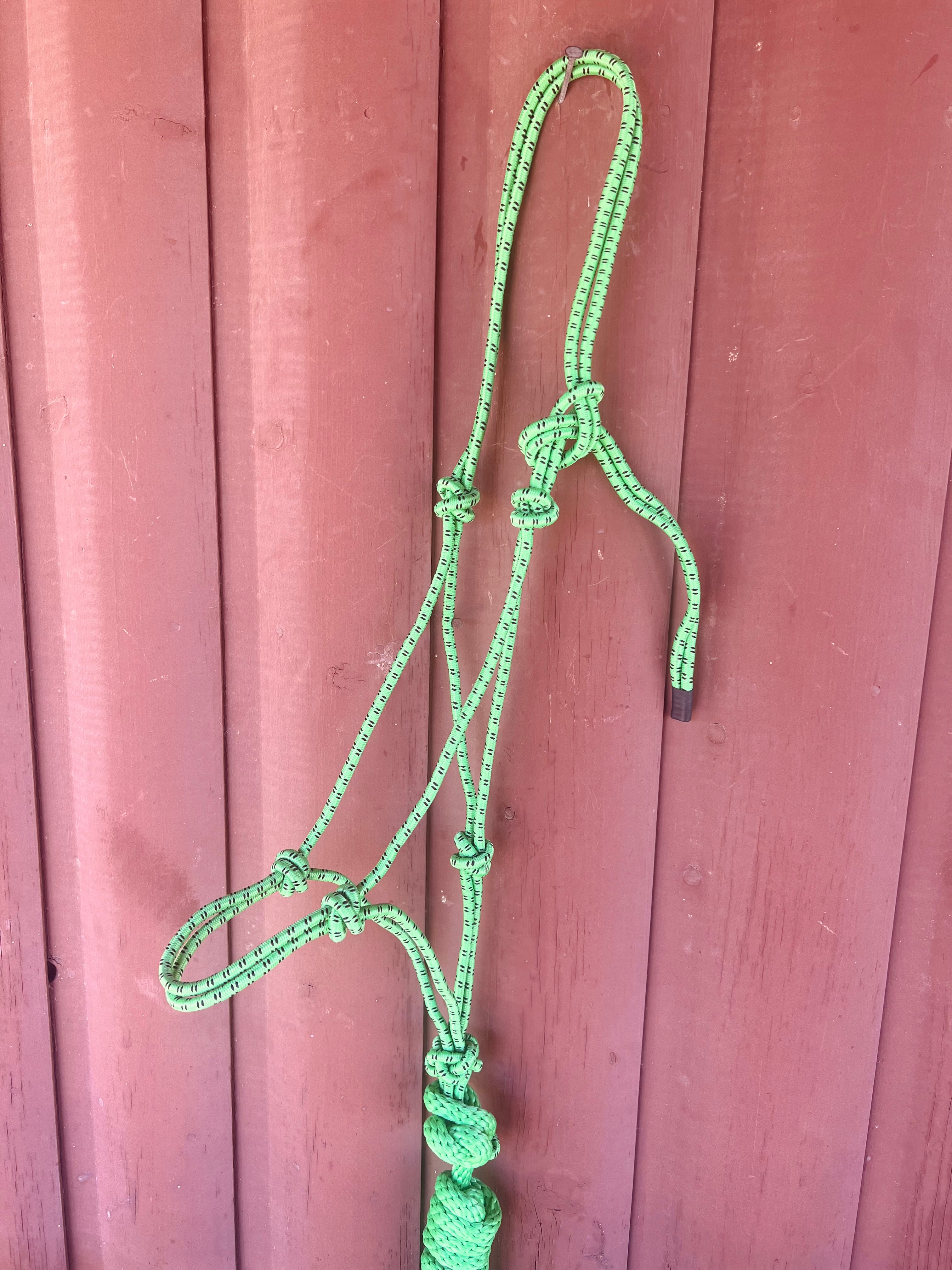 Mustang Rope Halter with Detachable Lead Rope