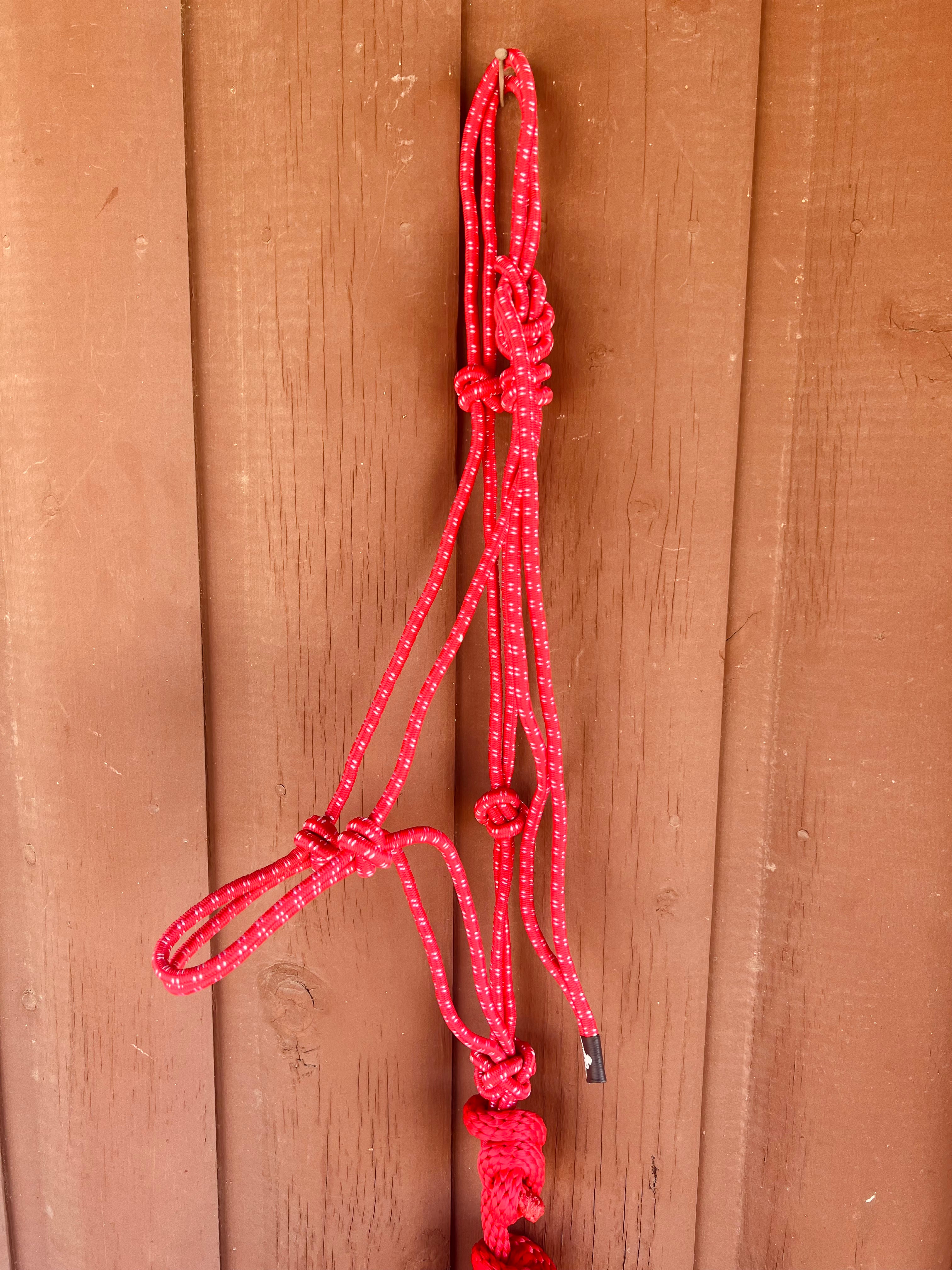 Mustang Rope Halter with Detachable Lead Rope