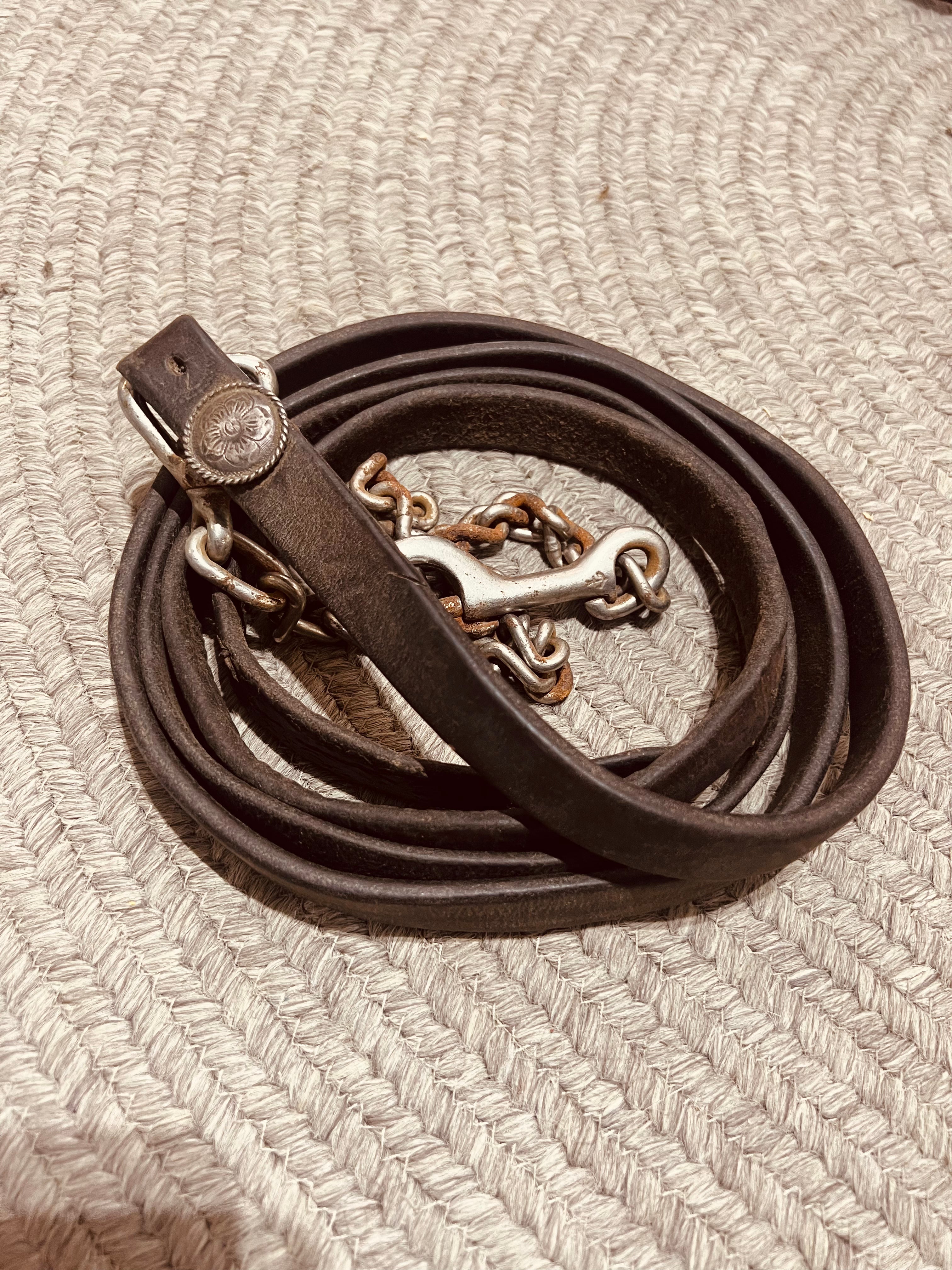 Champion Turf Vintage Leather Silver Show Halter with Leather Lead