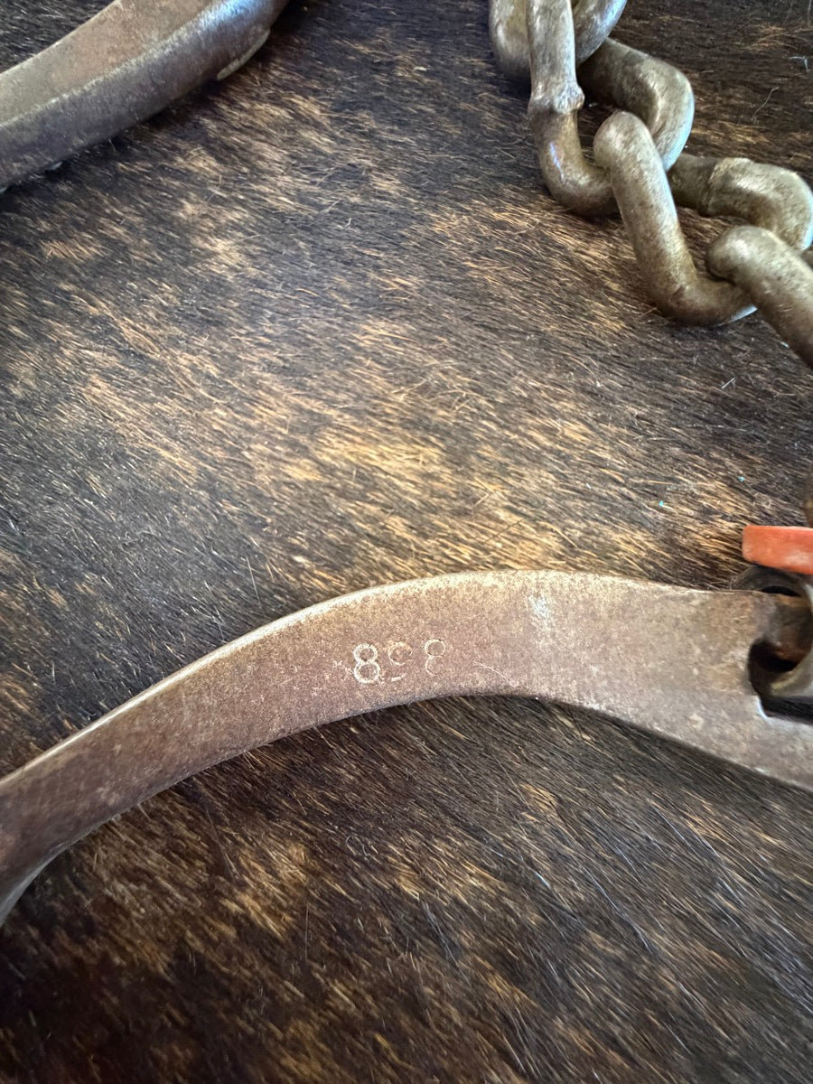 Reinsman Roper Chain Shank Bit    B1258