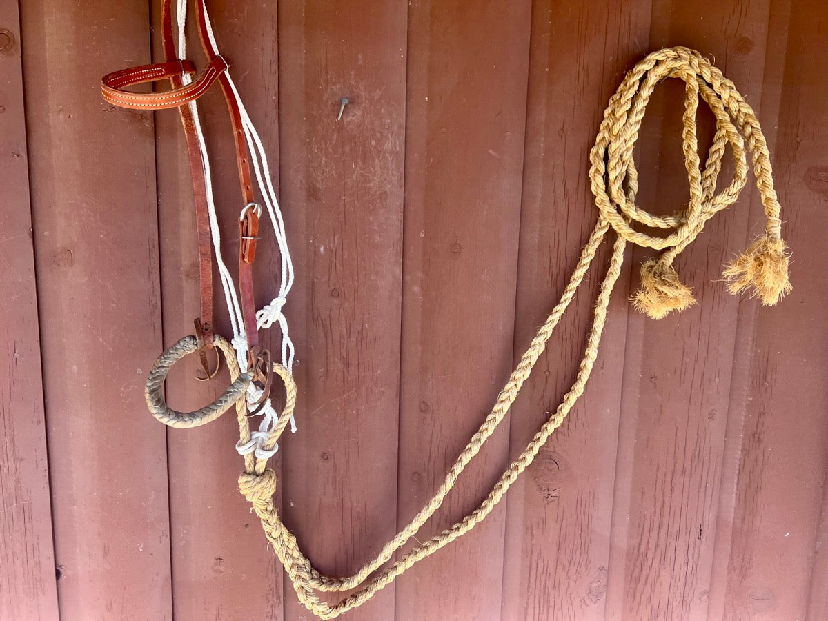 Rawhide Braided Loping Hackamore with Braided Grass Reins