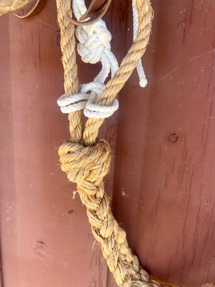 Rawhide Braided Loping Hackamore with Braided Grass Reins