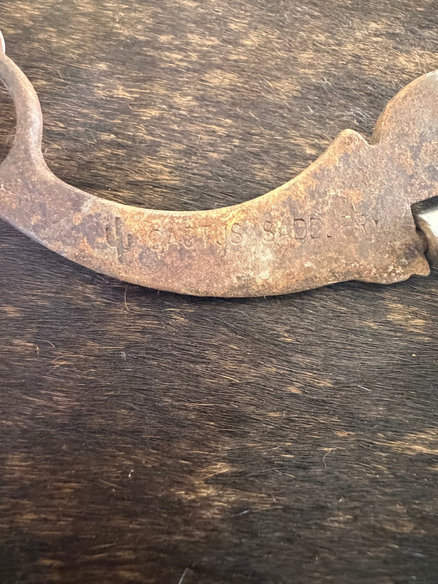 Chain Bit by Cactus Saddlery    B1275