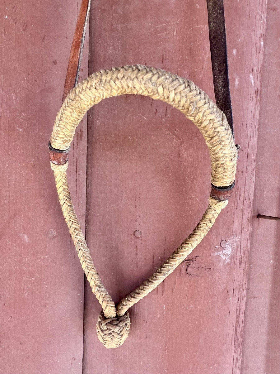 Braided Rawhide Bosal on Leather Hanger