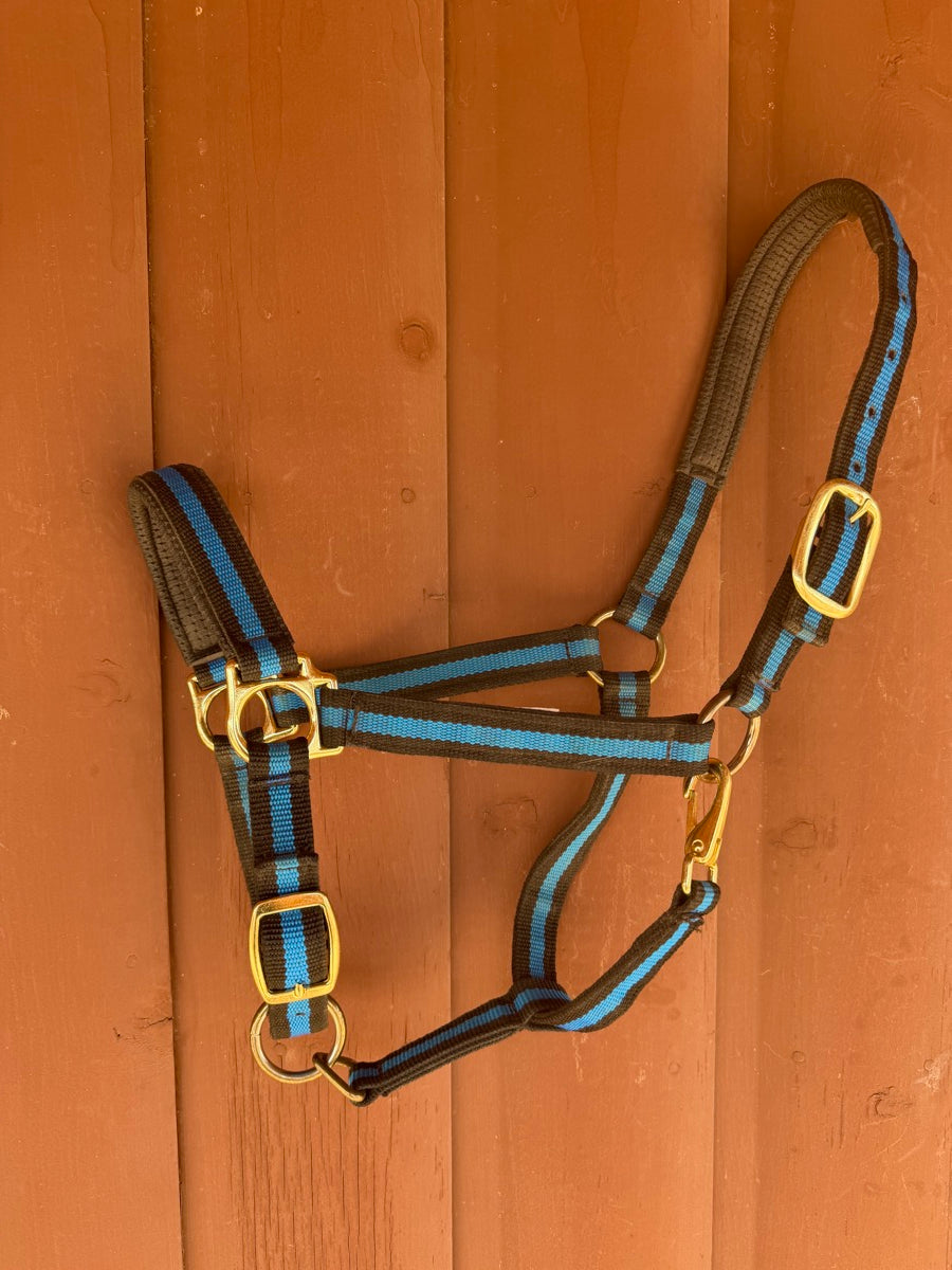 Weaver Equine Blue Black Padded Adjustable Chin and Throat Snap Halter - Average        HL1149