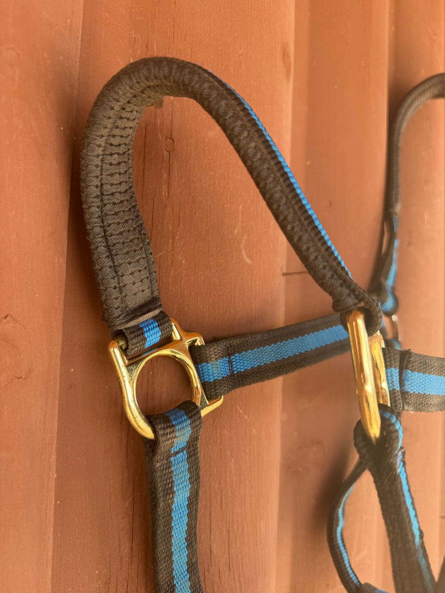 Weaver Equine Blue Black Padded Adjustable Chin and Throat Snap Halter - Average        HL1149