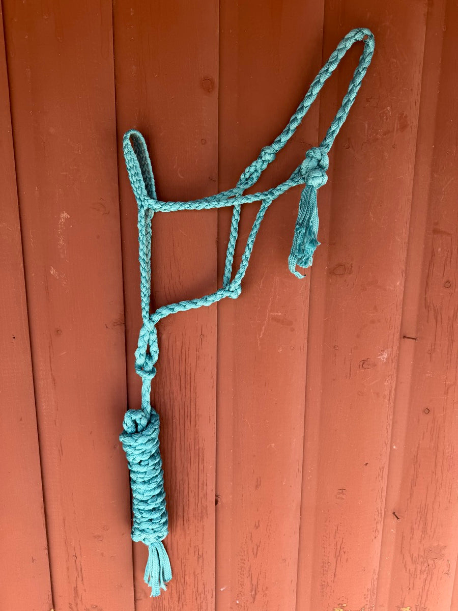 Turquoise Braided Mule Tape Halter        HL1150
