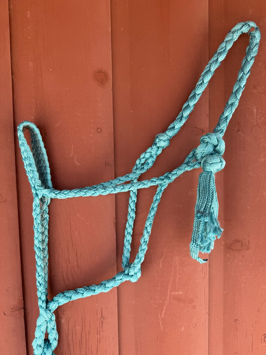 Turquoise Braided Mule Tape Halter        HL1150