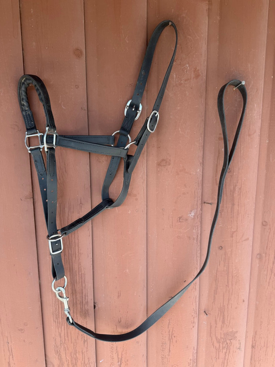 Black Leather Padded Noseband Horse Halter and Lead       HL1151