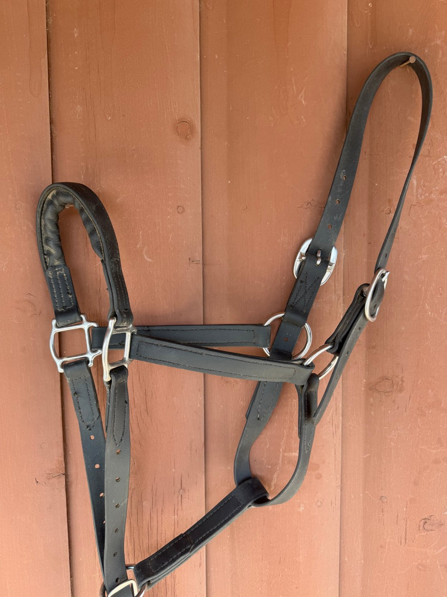 Black Leather Padded Noseband Horse Halter and Lead       HL1151