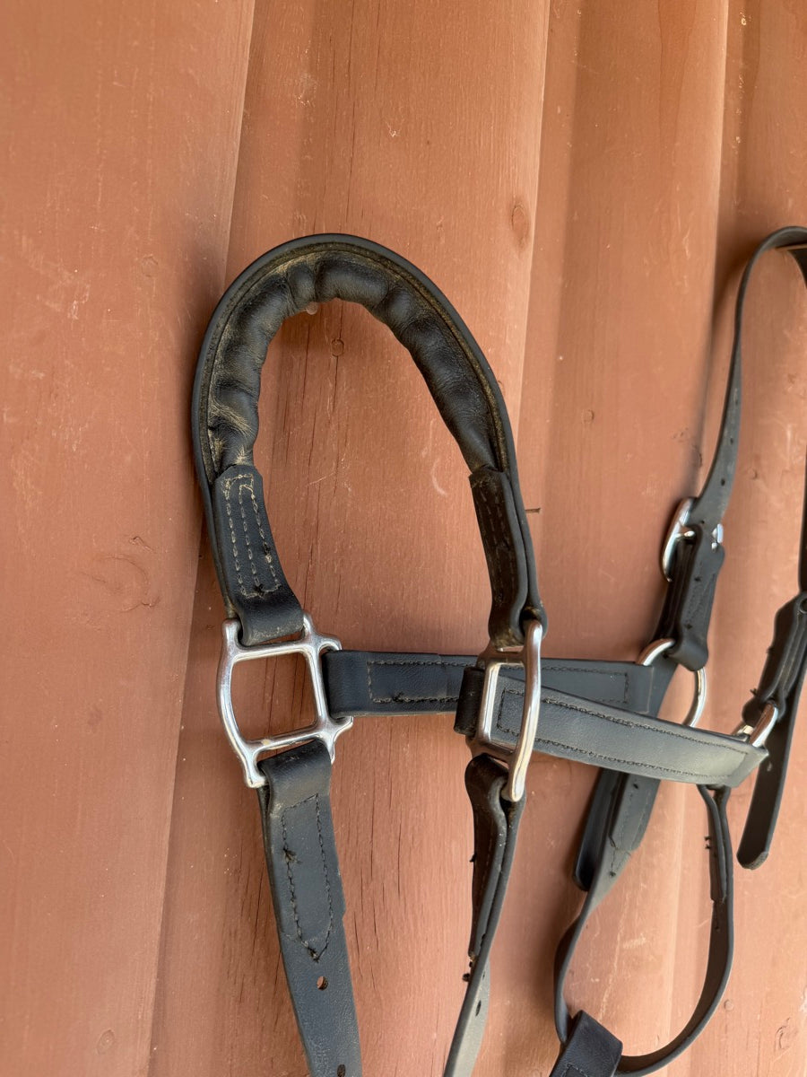 Black Leather Padded Noseband Horse Halter and Lead       HL1151