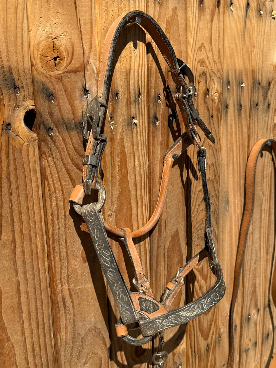 Silver Leather Show Halter And Lead With Silver Bars       HL1153