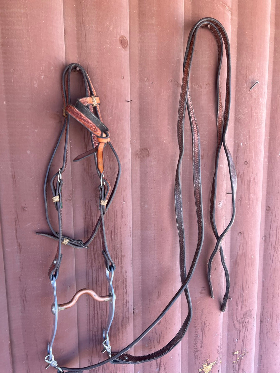 Reinsman Concho Shank Pro Cutter Curb Bit 771 with Headstall and Split Reins HBR1111