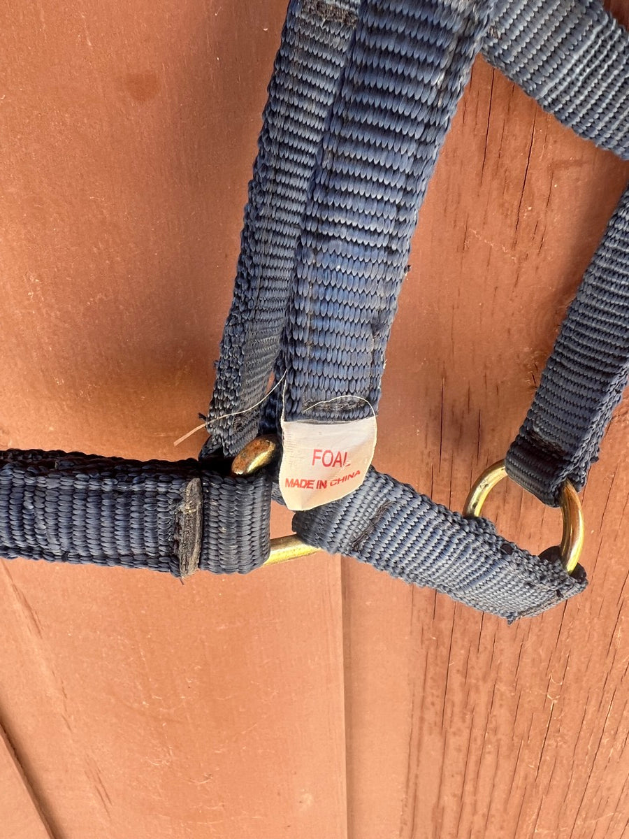 Blue Dura Tech Web Halter - Foal - HL1116
