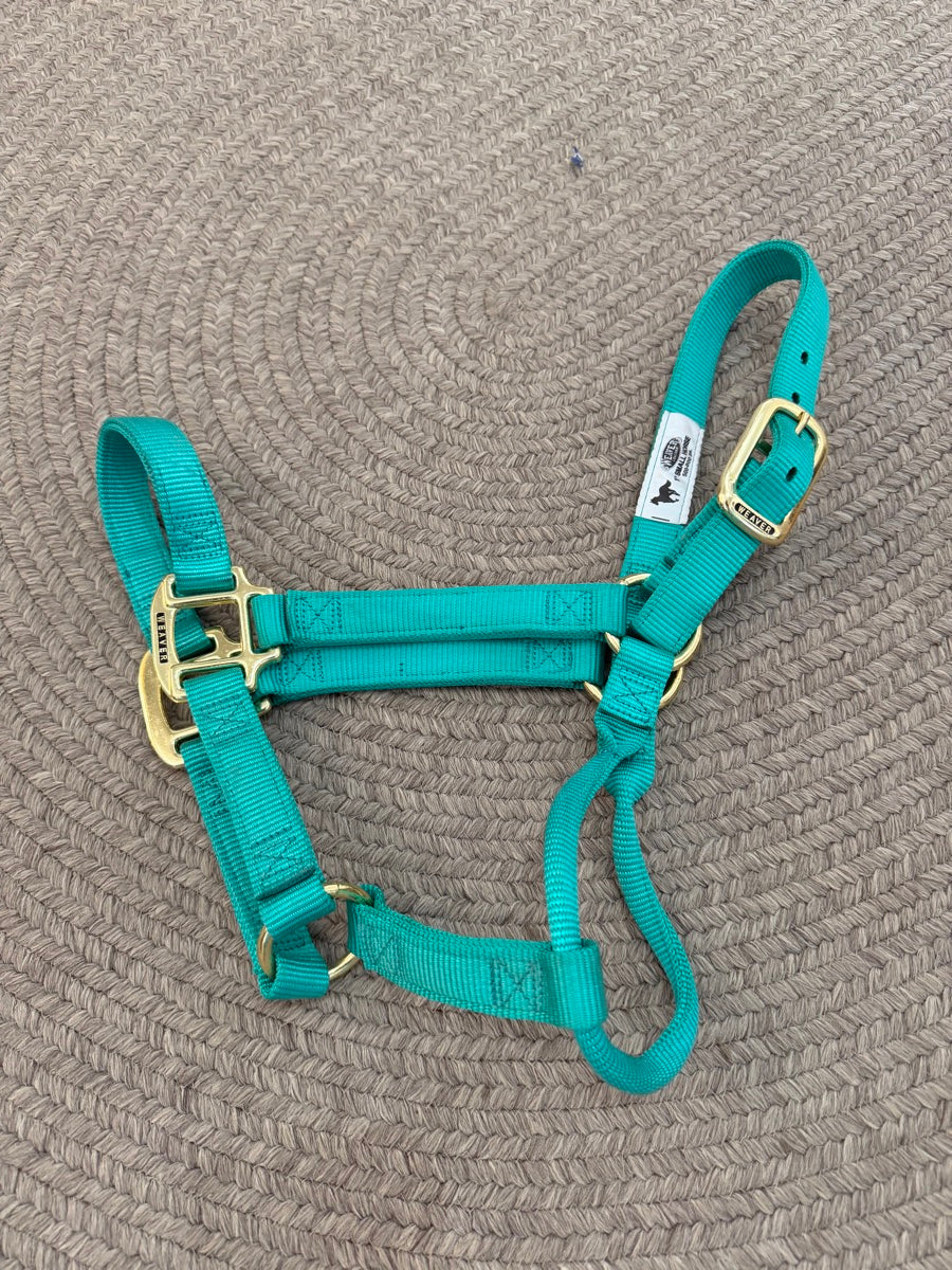 Turquoise Weaver Nylon Halter - Small Horse       HL1154