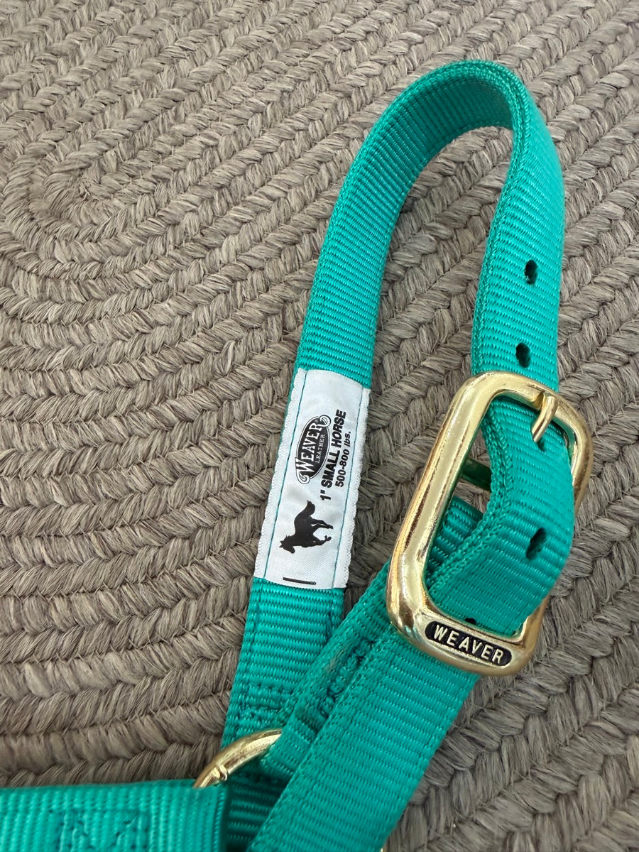 Turquoise Weaver Nylon Halter - Small Horse       HL1154