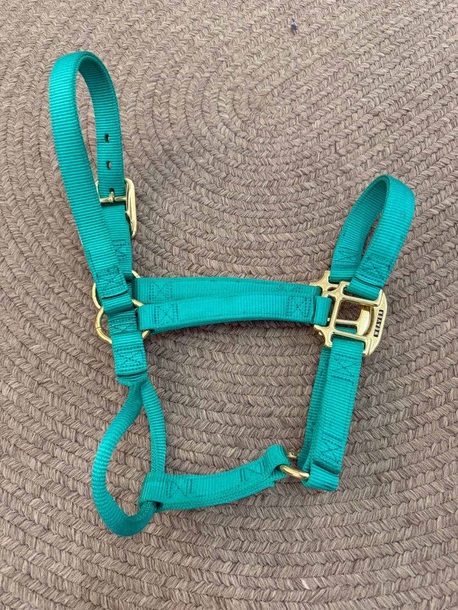 Turquoise Weaver Nylon Halter - Small Horse       HL1154