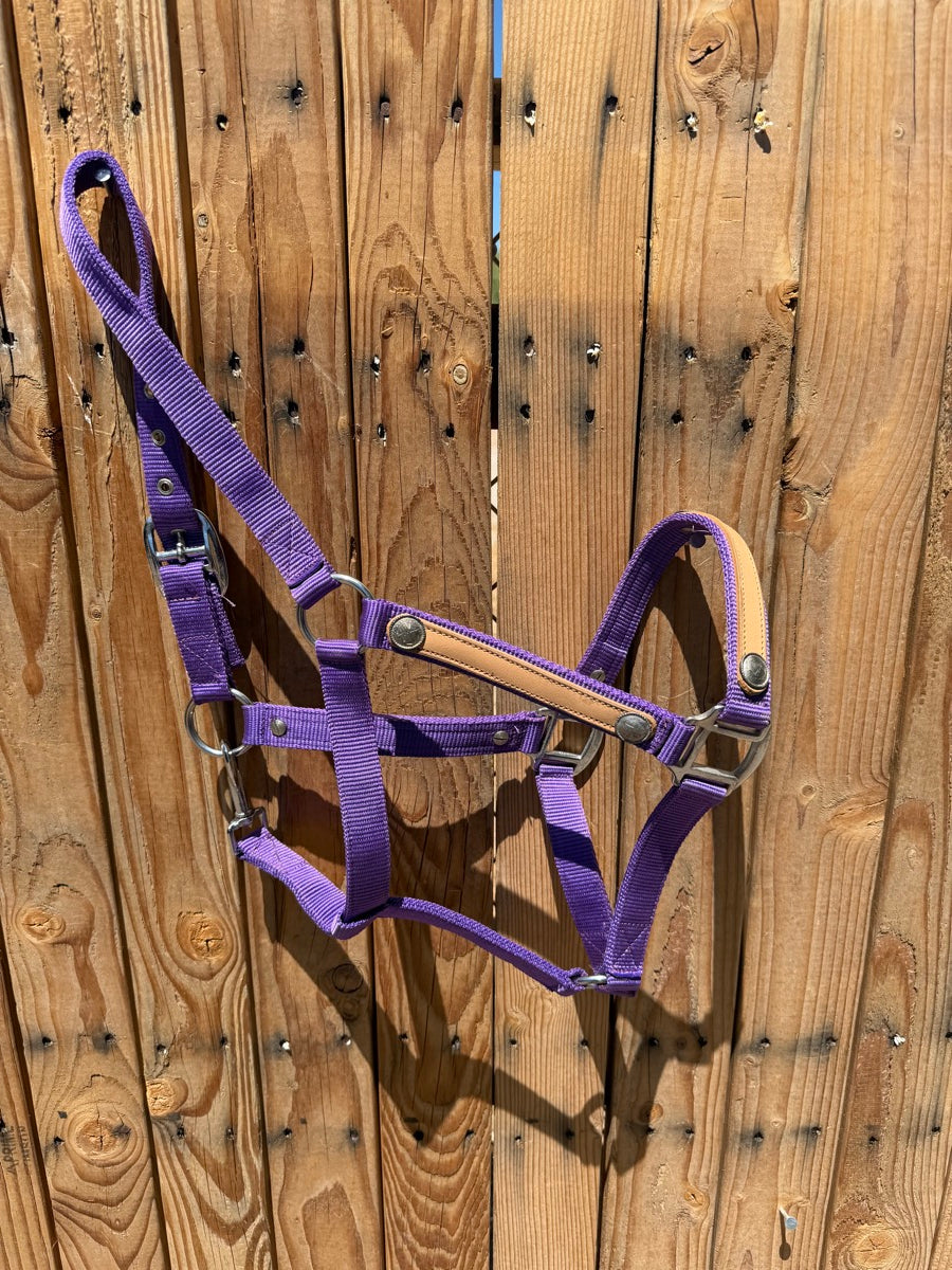 Purple Nylon Horse Halter with Leather Accents Small Silver Conchos       HL1155