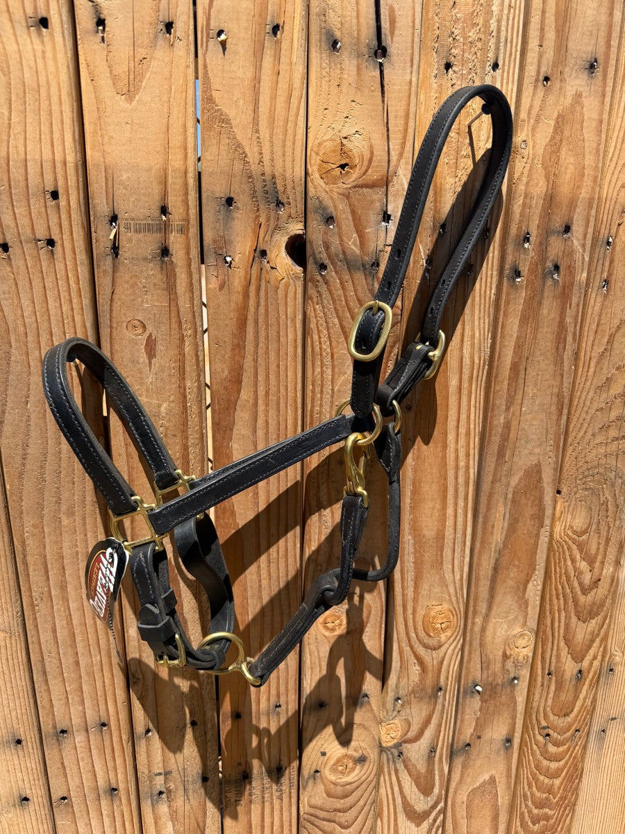Weaver Equine Track Horse Halter Black 3/4-in Cob      HL1157