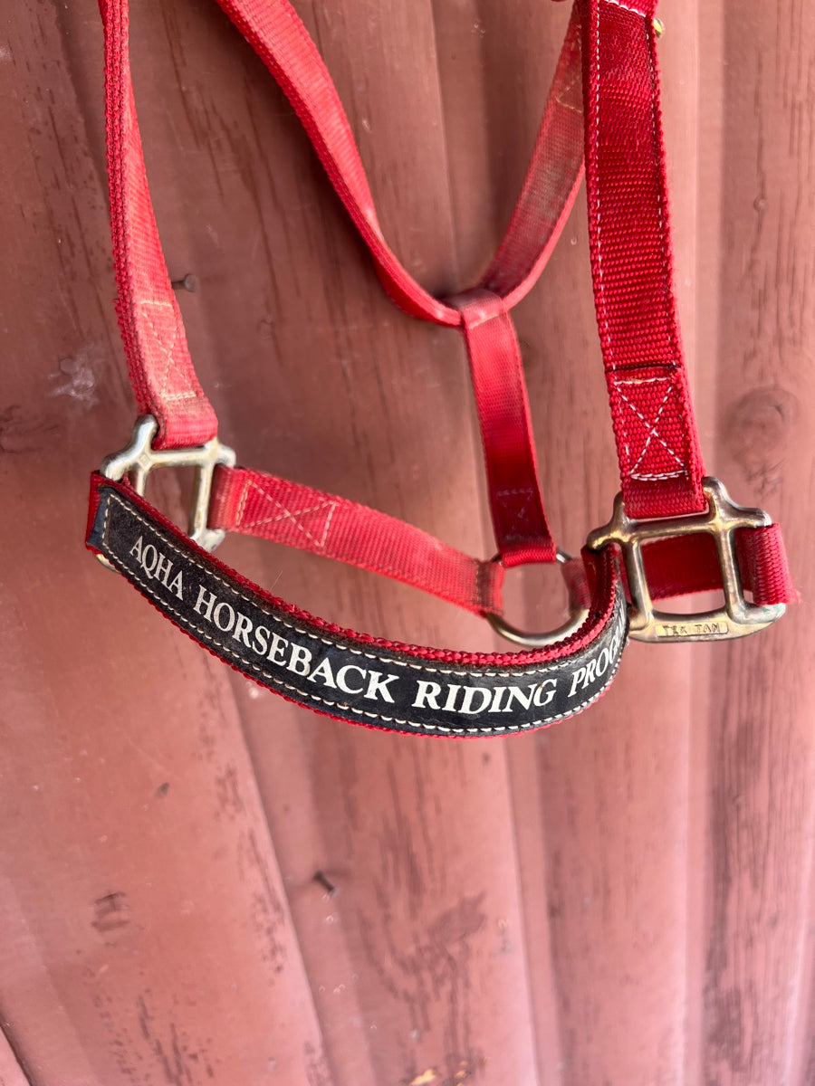 Red 1 in Nylon AQHA Horseback Riding Program Western Horse Halter     HL1124