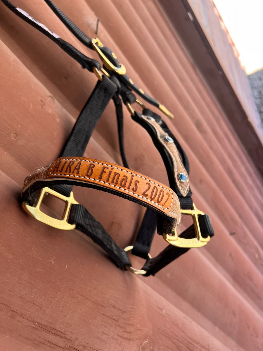 Weaver Leather 1 in Nylon AJRA Finals Horse Halter - Average Horse Size     HL1123
