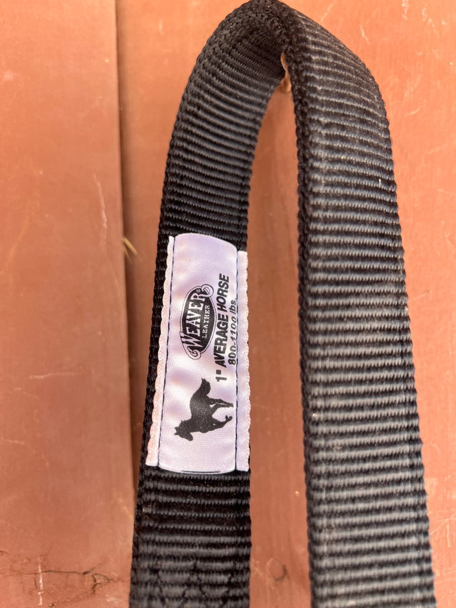 Weaver Leather 1 in Nylon AJRA Finals Horse Halter - Average Horse Size     HL1123