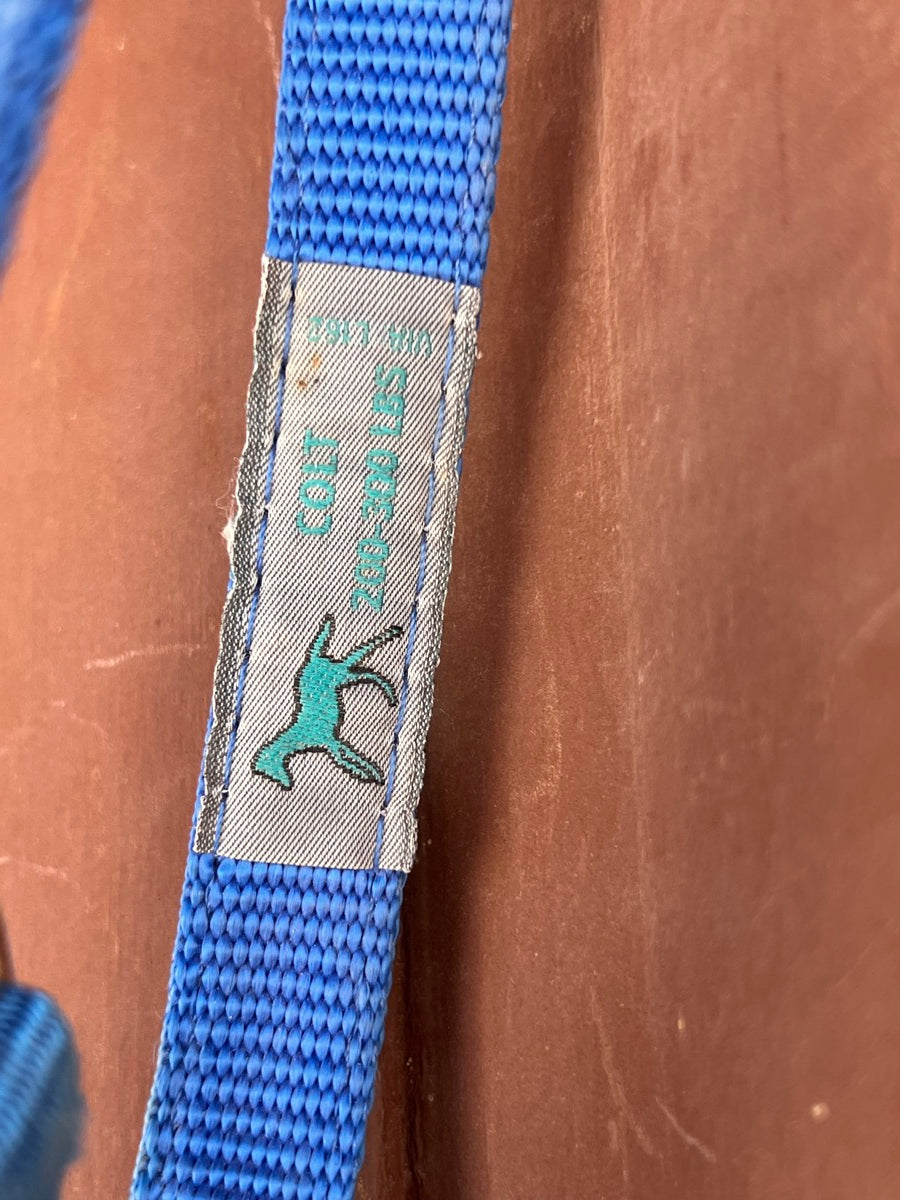 Blue Nylon Colt Western Horse Halter     HL1125