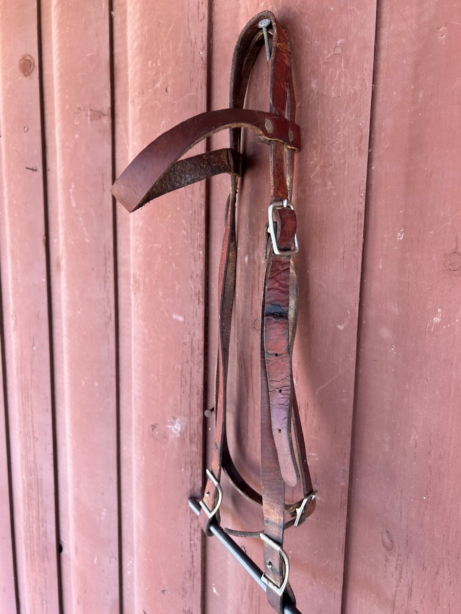 Browband Leather Headstall    HS1134