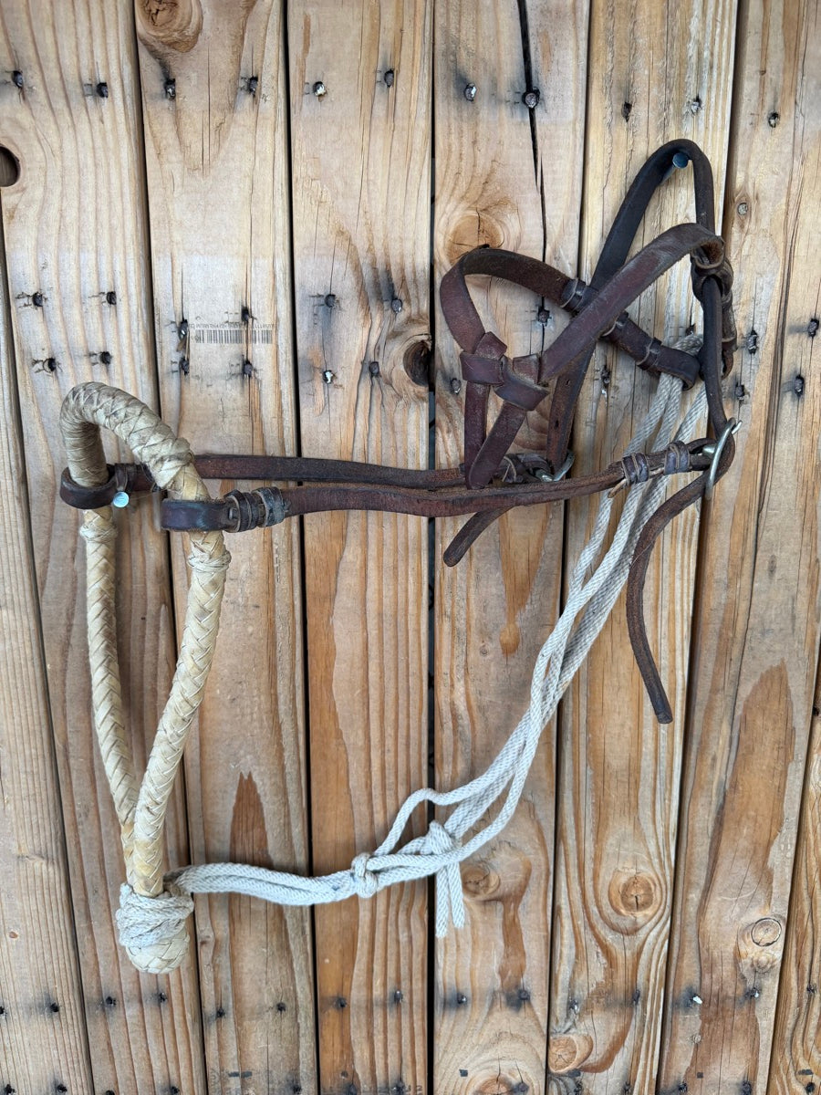 Vintage Rawhide Bosal Hackamore Bitless Bridle Loping Hackamore   HS1232