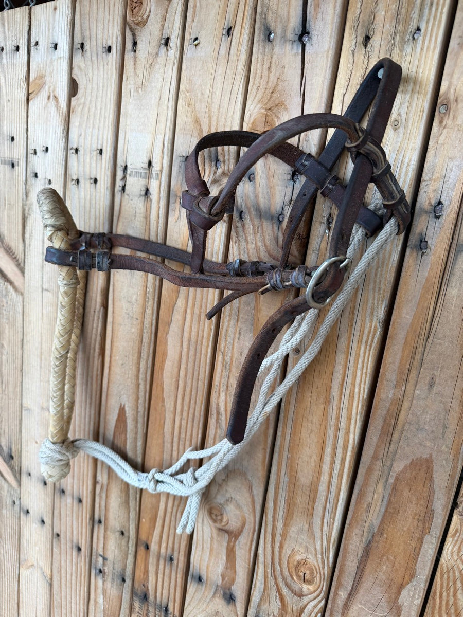 Vintage Rawhide Bosal Hackamore Bitless Bridle Loping Hackamore   HS1232