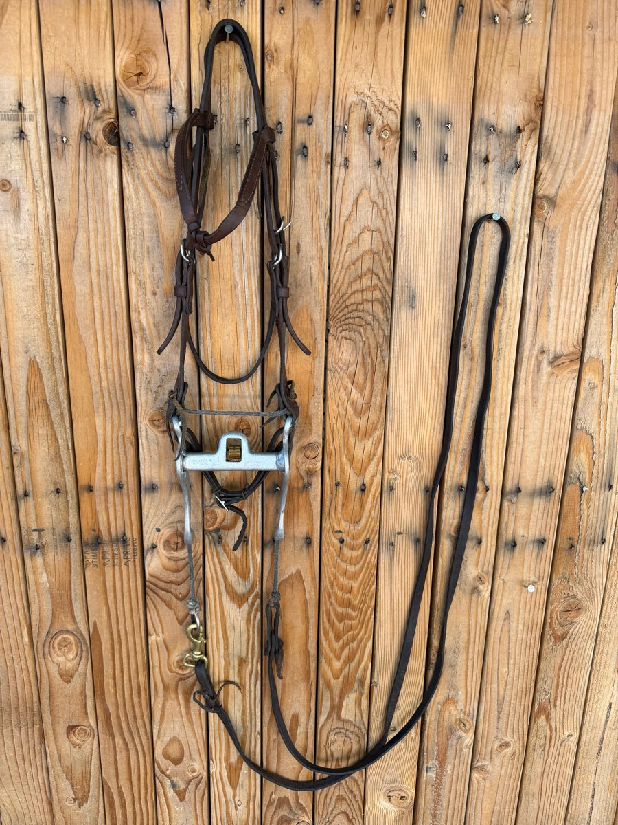 Mikmar Training Bit Futurity Headstall Reins      B1317