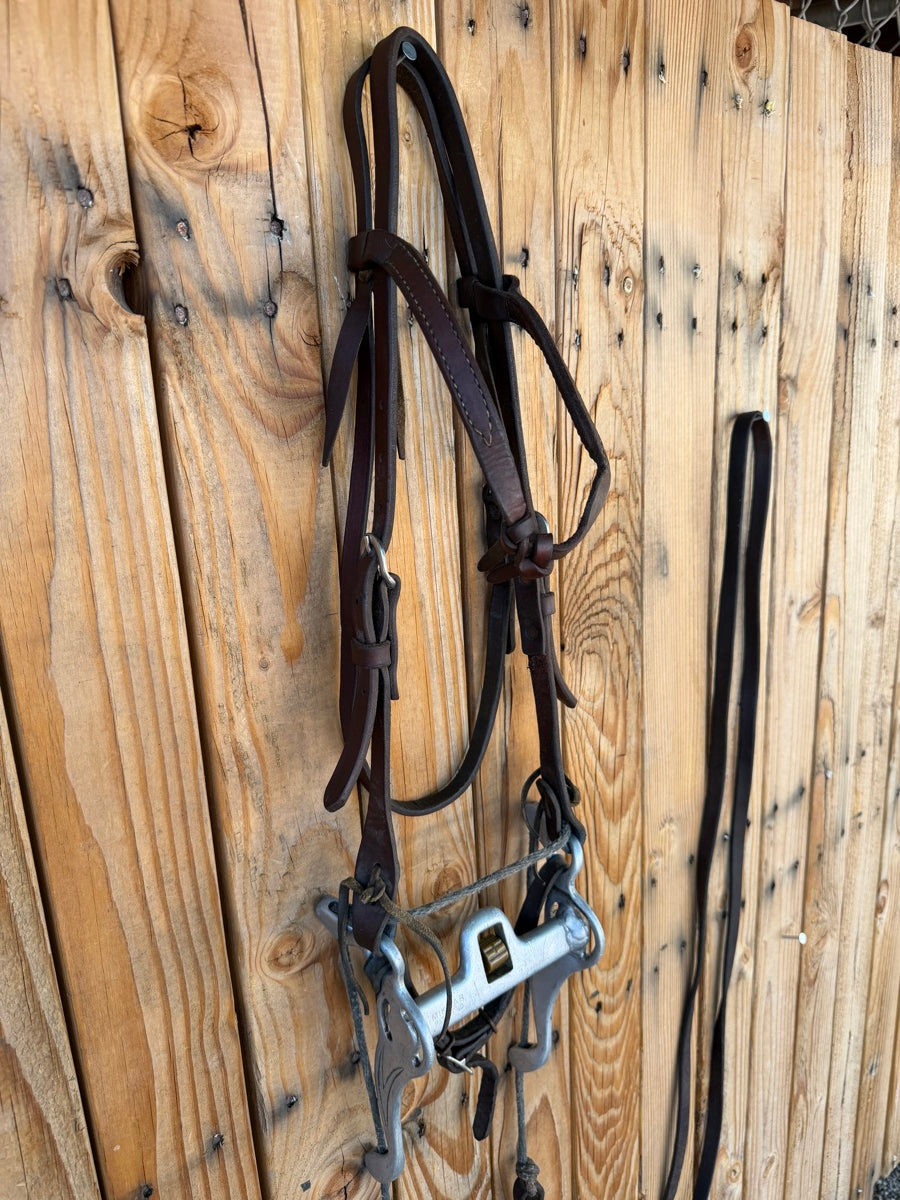 Mikmar Training Bit Futurity Headstall Reins      B1317