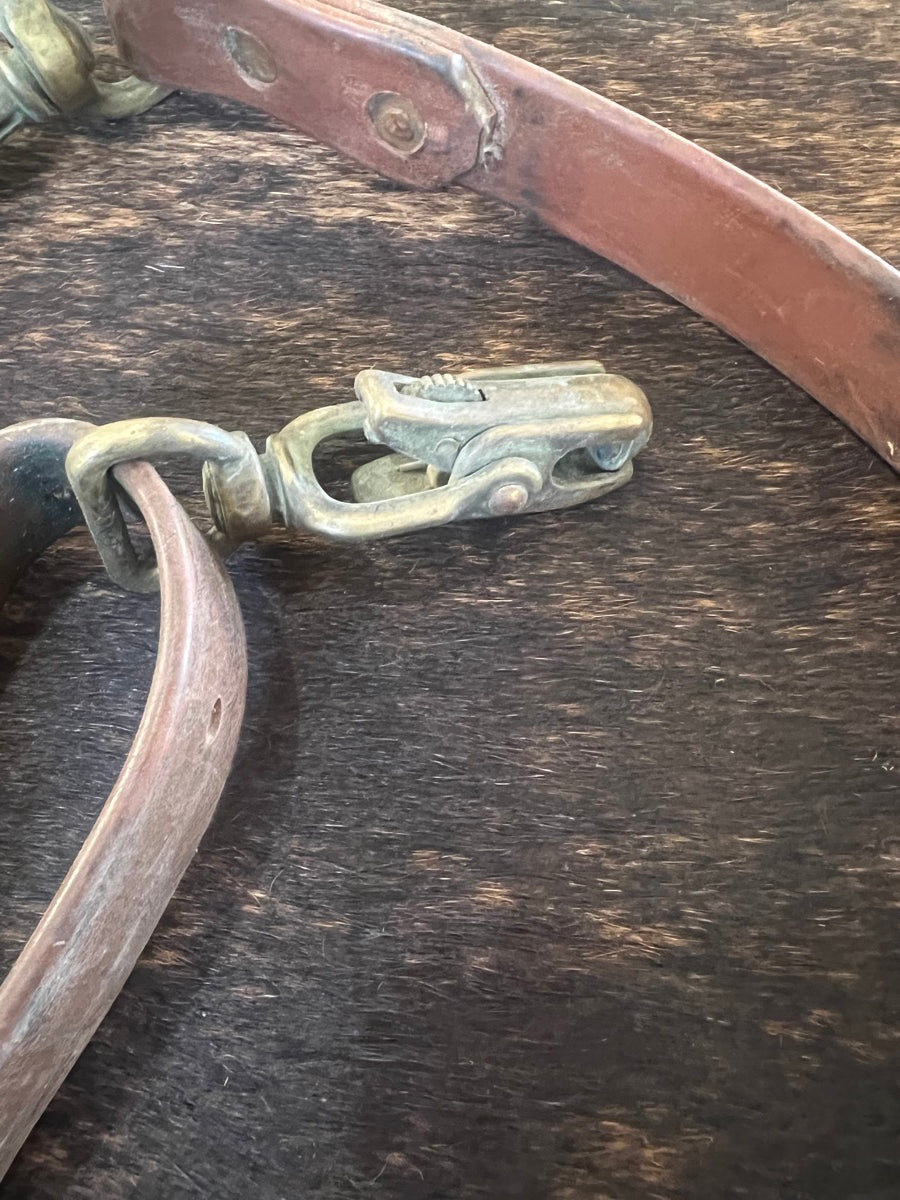 Biothane Tie Down Strap     TD1124