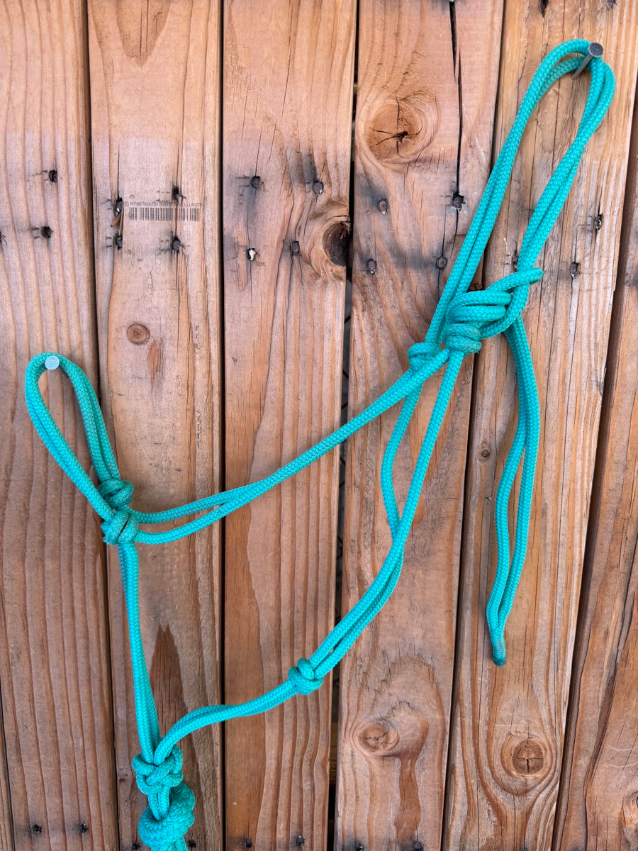 Turquoise Rope Halter with 12 ft Lead Rope     HL1158