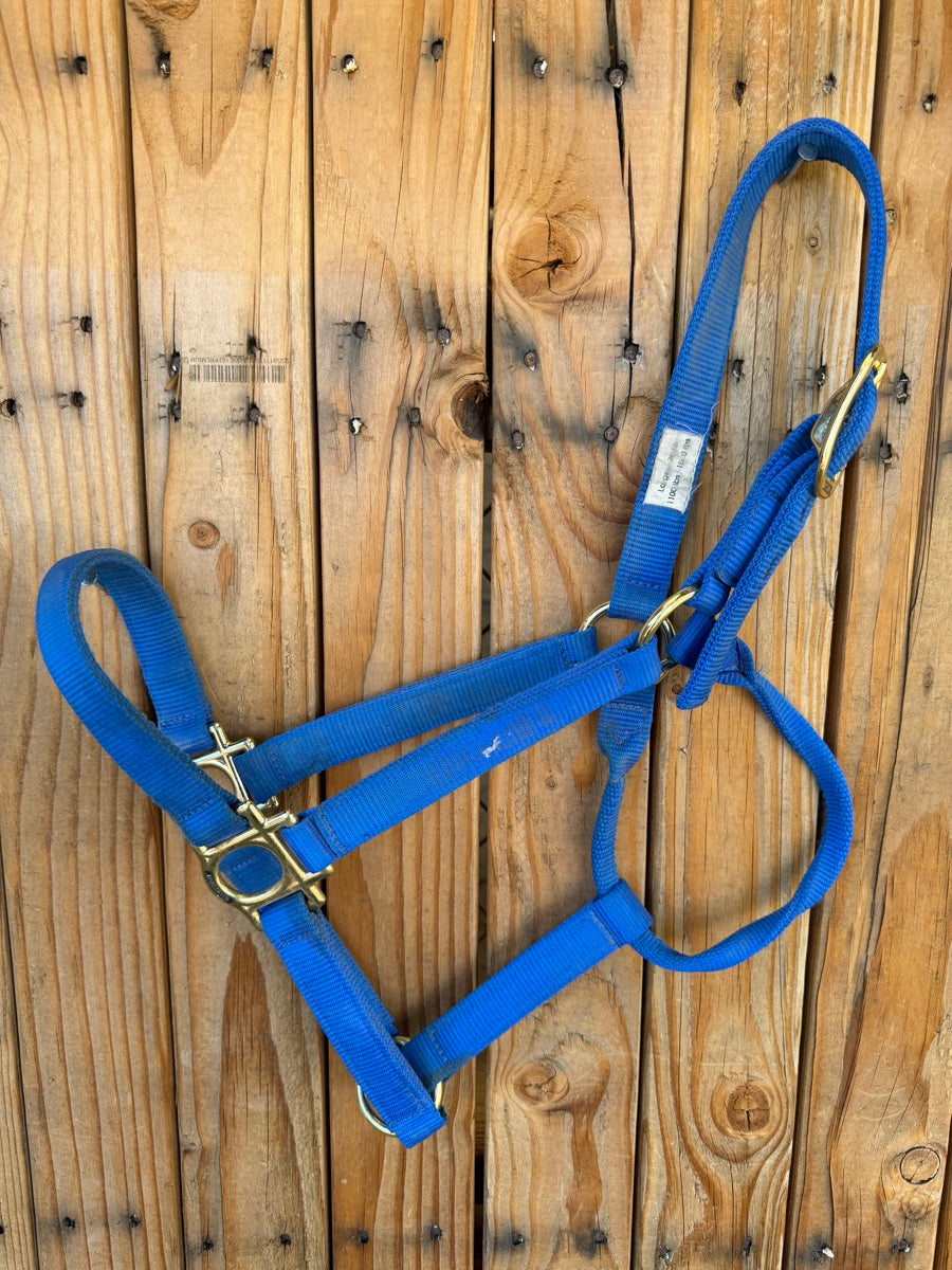 Blue Mustang Nylon Halter - Large Horse     HL1163